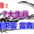 財神說：2019年7大生肖，有財運來襲，富貴無比，定會大賺錢