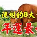 先苦後甜的8大生肖，晚年運最好