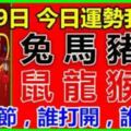 2月19日，星期二，十二生肖今日運勢【元宵節，誰打開，誰好運】