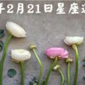 12星座日運2019.2.21，白羊追求財務目標雙魚獨立生活