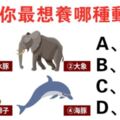 心理測試：選一個你想養的特殊動物！測出你這輩子有什麼富貴命