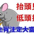 抬頭見喜，低頭撿財的6大生肖，註定一生富貴多金