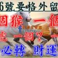 8月16號開始要格外留心了，一個猴，一個蛇，一個虎，一個？，一個馬必須轉啊