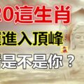 2020年財運會進入頂峰期的生肖！！！快看是不是你？