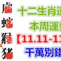 十二生肖運勢：本周運勢【11.11-11.17】千萬別錯失！