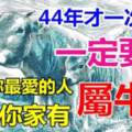 如果你最愛的人屬牛，或家中有屬牛的，一定要接，44年才一次