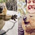 澳洲短尾矮袋鼠「用笑臉治癒人心」　隨時隨地都超開心：世界上最快樂的動物