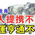 11月貴人提攜不斷，財運亨通不停的生肖