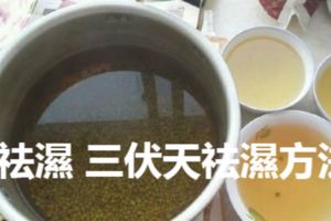 三伏天吃什麼祛濕三伏天祛濕方法有哪些