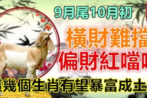 9月尾10月初，橫財難擋，偏財紅噹噹，這幾個生肖有望暴富成土豪