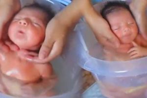 寶寶媽媽幫剛出生的寶寶洗澡，沒想到「寶寶的表情」竟讓網友們都融化了：「原來他以為自己還沒出生…」