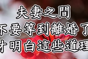 夫妻之間，不要等到離婚了，才明白這些道理