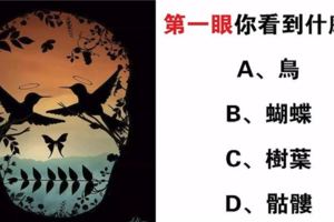 心理學：第一眼你看到什麼？測你的實際心理年齡是多少歲！