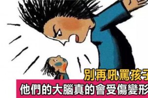 美國心理學家：吼孩子真的會讓他受傷、變笨！這3句話比打罵都管用！