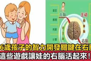 兒科醫生：右腦是孩子智力發育好壞的關鍵，這6個遊戲最開發右腦