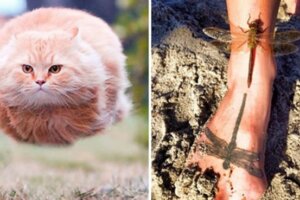 17張「差一秒就拍不到」的幸運照片　裝在泡泡裡的狗實在太古錐～