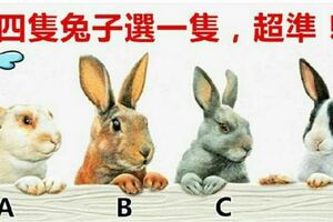 四隻兔子選一隻，測出你在別人眼中的印象，超準