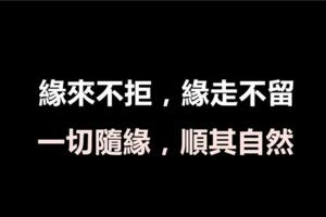 緣來不拒，緣走不留！一切隨緣，順其自然。