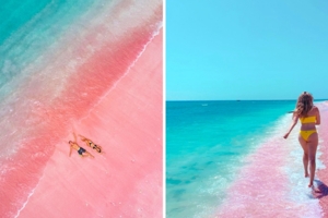 離台最近！印尼仙境有「珊瑚粉沙灘」　海水浪漫漸層隨便拍都美