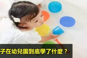 孩子在幼兒園到底學了什麼？