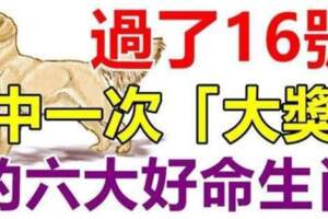 過了5月16號，5月中旬後財運好的生肖