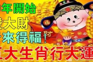 中年開始發大財老來得福，這五大生肖行大運