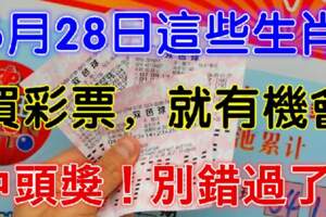 6月28日這些生肖買彩票，有機會中頭獎，別錯過了