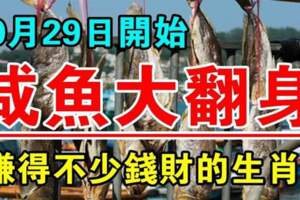 10月29日開始鹹魚大翻身，賺得不少錢財的生肖