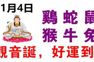 11月4日生肖運勢_雞、蛇、鼠大吉