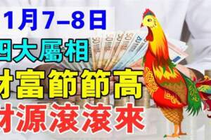 11月7-8日財富節節高的生肖，財源滾滾來