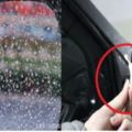 下雨天後視鏡和車窗看不清「只要用這個」，就能輕鬆告別雨珠