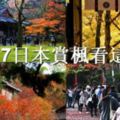 2017日本賞楓看這裡！京都紅葉景點推薦TOP10