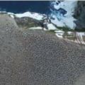 人類抵達不了的地方！無人機探訪南極上空發現「企鵝王國」，「150萬隻企鵝」密布震撼科學家！