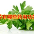 芹菜有哪些藥用功效？