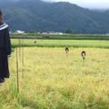 12張證明「日本農田裡的稻草人根本是做來把路人嚇死」的照片。