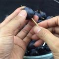 葡萄上插「一根牙籤」，真的非常方便，吃了幾十年葡萄才知道！