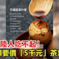 衝一句陸人吃不起！一顆要價「5千元」茶葉蛋