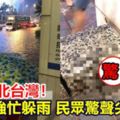 暴雨炸北台灣！小強忙躲雨民眾驚聲尖叫