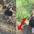 媽媽帶16個月大女兒去公園玩　看照片才發現「女兒差點就不在世上了」!