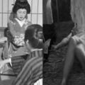 二戰後，日本為什麼能夠「快速恢復人口」他們用的方法比禽獸還殘忍，日本女人真的好慘！