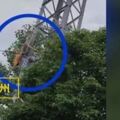 10歲童爬20米電塔觸電畫面曝光