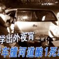6同學出外夜宵轎車撞河道釀1死5傷