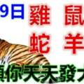 1月19日生肖運勢_雞、鼠、猴大吉