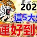 2023年這五大生肖財運好到爆，財神爺不離開，轉走抓好運！