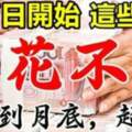 8月7日開始翻身大轉運，數錢到月底，這些生肖錢多花不完