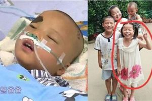 「爸爸，我不治了，給我買雙新鞋和一身新衣服就好。」8歲女童被馬蜂群蜇，求家人放棄！…