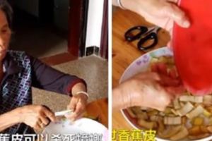 香蕉皮別丟！超簡單4步驟引誘家中所有蟑螂，無毒安全又高效！