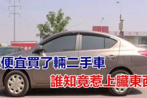 貪便宜買了輛二手車，誰知竟惹上「臟東西」......