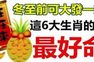 冬至前可大發一筆，這六大生肖最好命