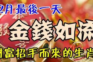 12月最後一天金錢如流，財富招手而來的生肖